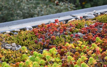the cost of Edinburgh green roof installation