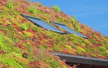 Edinburgh living roof systems