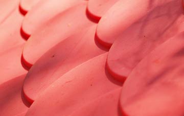 Edinburgh plastic roof costs